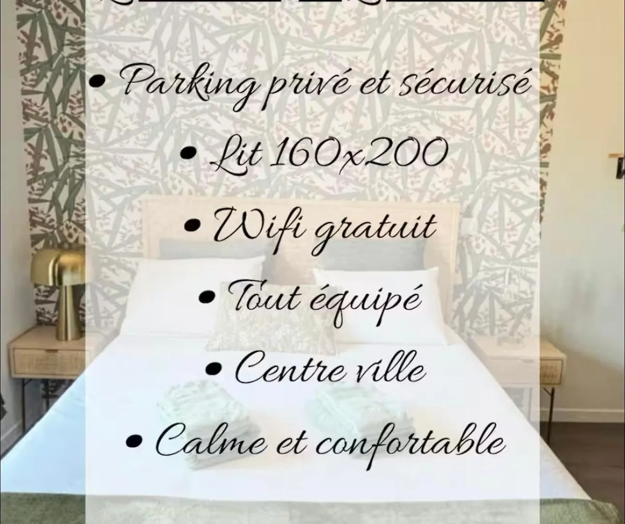 Hortensia Roanne Centre-Ville - Parking & Clim Франция