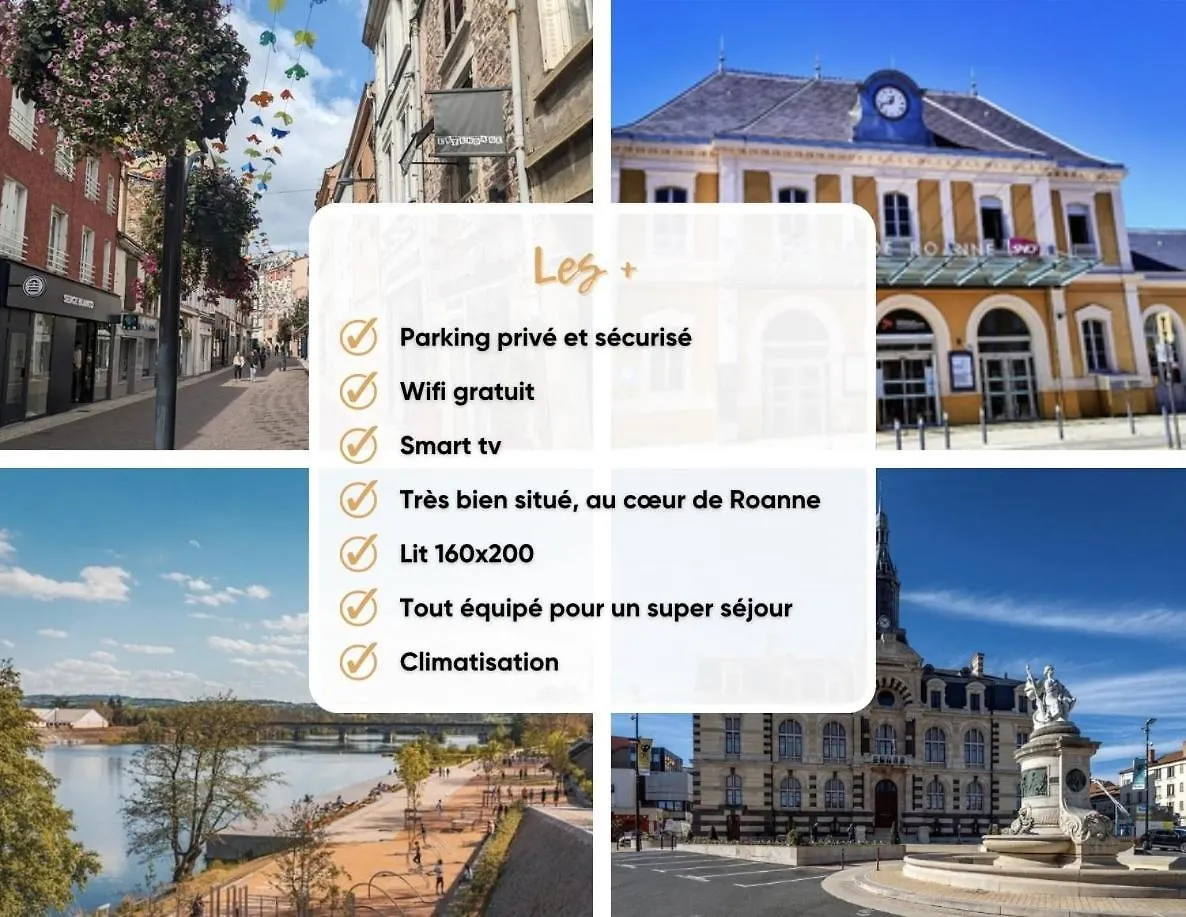 Апартаменты Hortensia Roanne Centre-Ville - Parking & Clim Франция